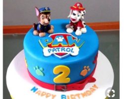 Paw patrol Birthday Cakes NJ