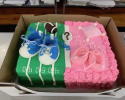 Best Gender Reveal Cakes Toms River NJ Howell NJ