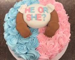 Gender Reveal Cakes NJ