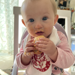 Babies First Cookie, Red Rose Cookies, Bakery In Toms River NJ, Howell NJ